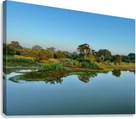 Beatiful Reflection Over Calm Water Canvas Print