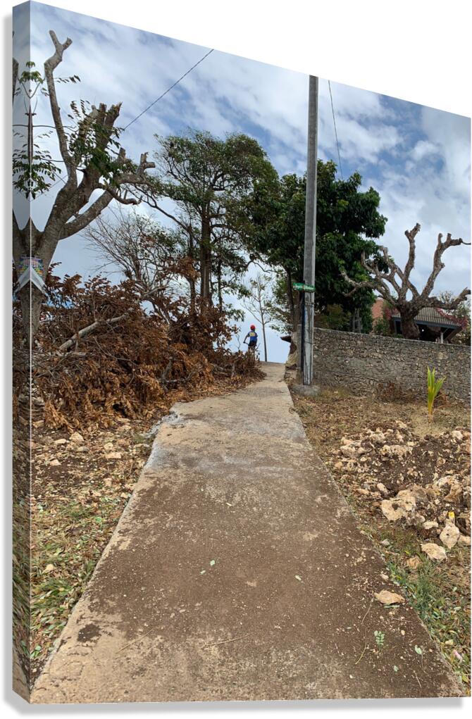 Cycling Up the Hill Canvas Print