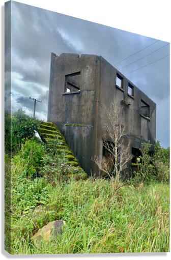 Abandonned House in Bokor Cambodia Canvas Print