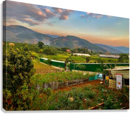 Gardens Mountains  Sunset Canvas Print