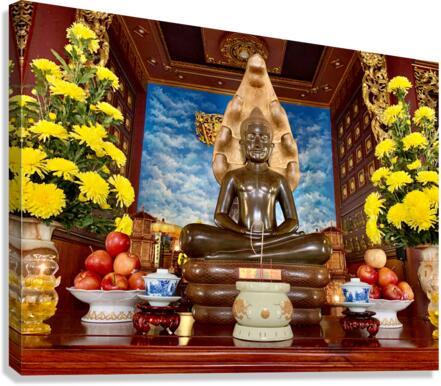 Little Brown Buddha Canvas Print