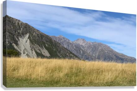 Nice Field Canvas Print