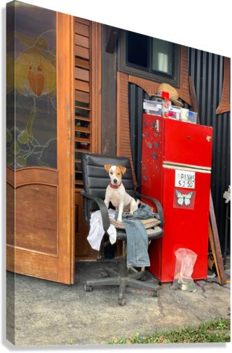 The Red Fridge and the Dog 2 Canvas Print