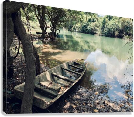 Abandoned Boat Canvas Print