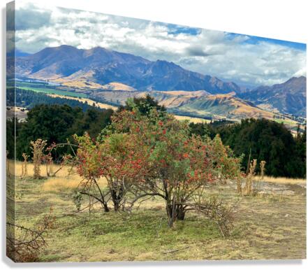 View From Mount Iron New Zealand After a Storm 6. Canvas Print