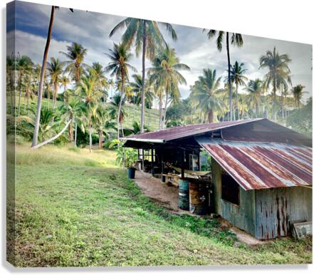 Big Rusty Shack Coconut Canvas Print