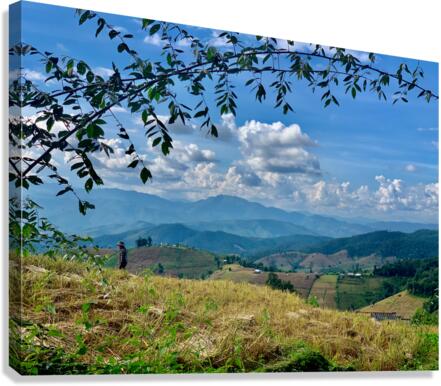 Amazing Landscape Canvas Print