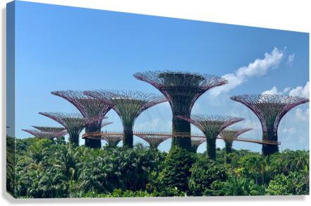 Gardens by the Bay Singapore Canvas Print