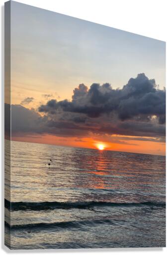 Sweet Orange Sunset Canvas Print