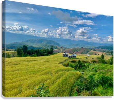 Village in the Rice Fields 3 Canvas Print