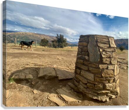 Dog on the Top of Mount Iron New Zealand Canvas Print