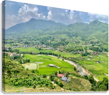 Rice Fields in Sapa 5 Canvas Print