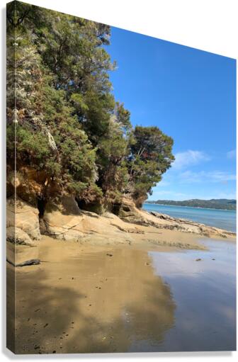 Abel Tasman National Park New Zealand 3 Canvas Print