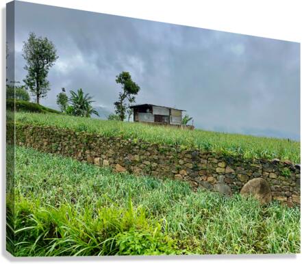 Leveled Field House Canvas Print