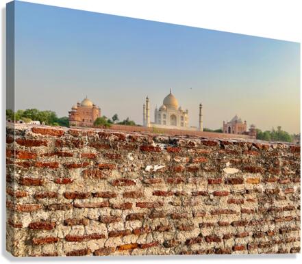 The Taj Mahal Collection 10 Canvas Print