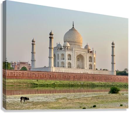 The Taj Mahal Collection 12 Canvas Print