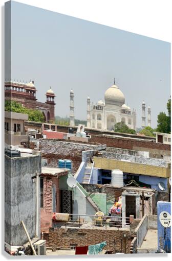 The Taj Mahal Collection 3 Canvas Print