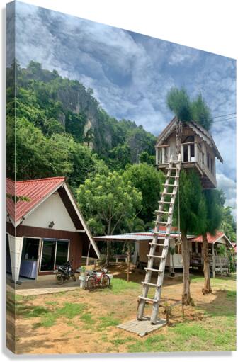 The Treehouse Canvas Print