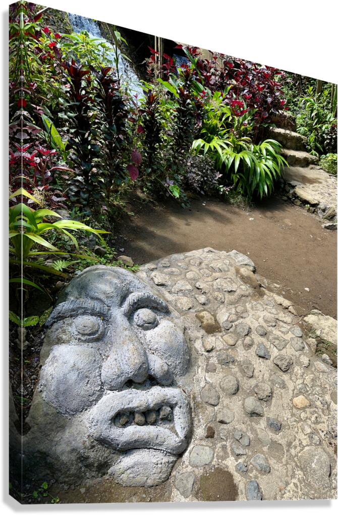 Face in the Ground Munduk Bali Canvas Print