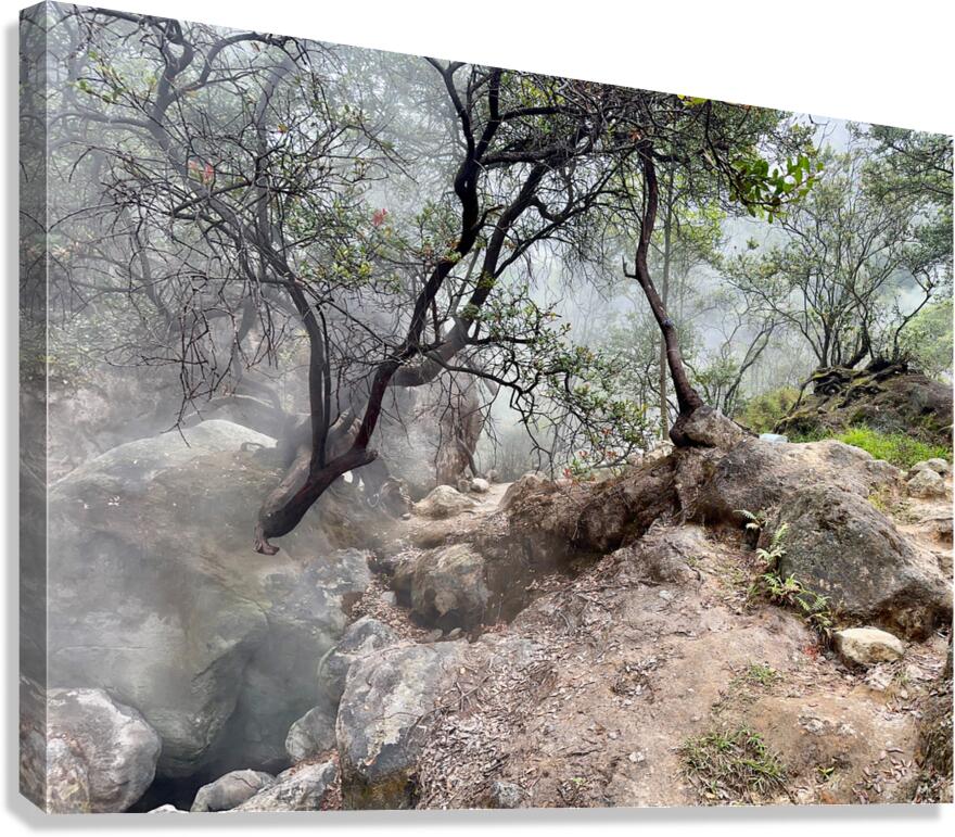 Cibuni Rengganis Crater Java Indonesia 6 Canvas Print