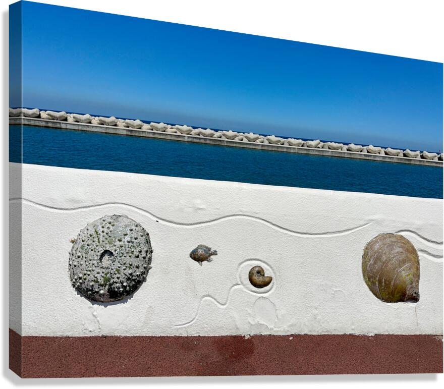 Boardwalk Jeju South Korea 2 Canvas Print