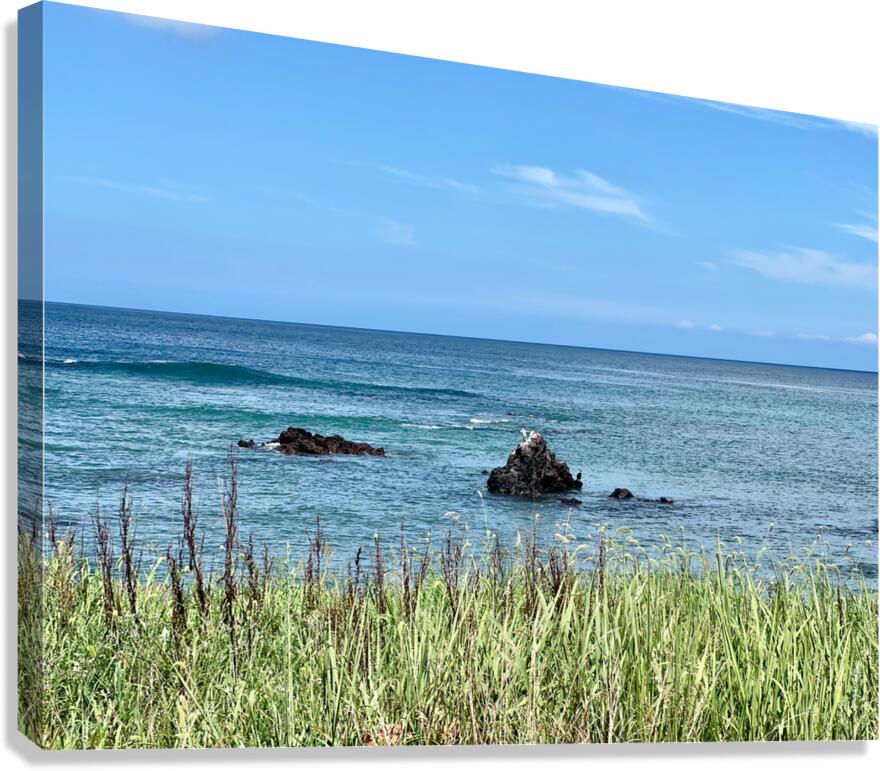 Calm Ocean Udo South Korea Canvas Print