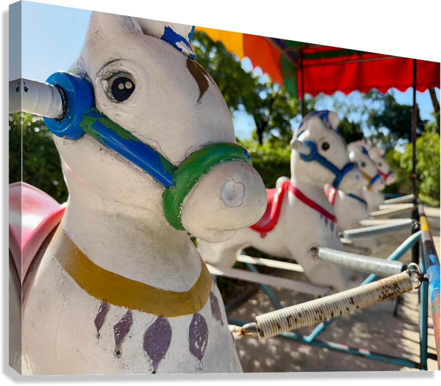 Jumping Horses for Kids Seoul South Korea Canvas Print
