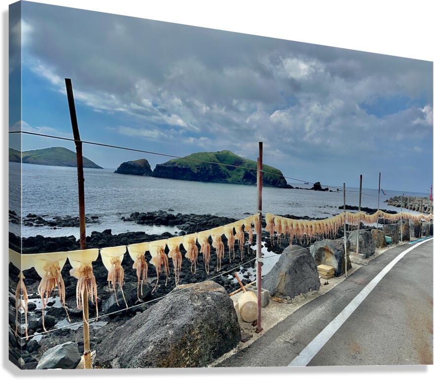 Squids on the Line Jeju South Korea Canvas Print
