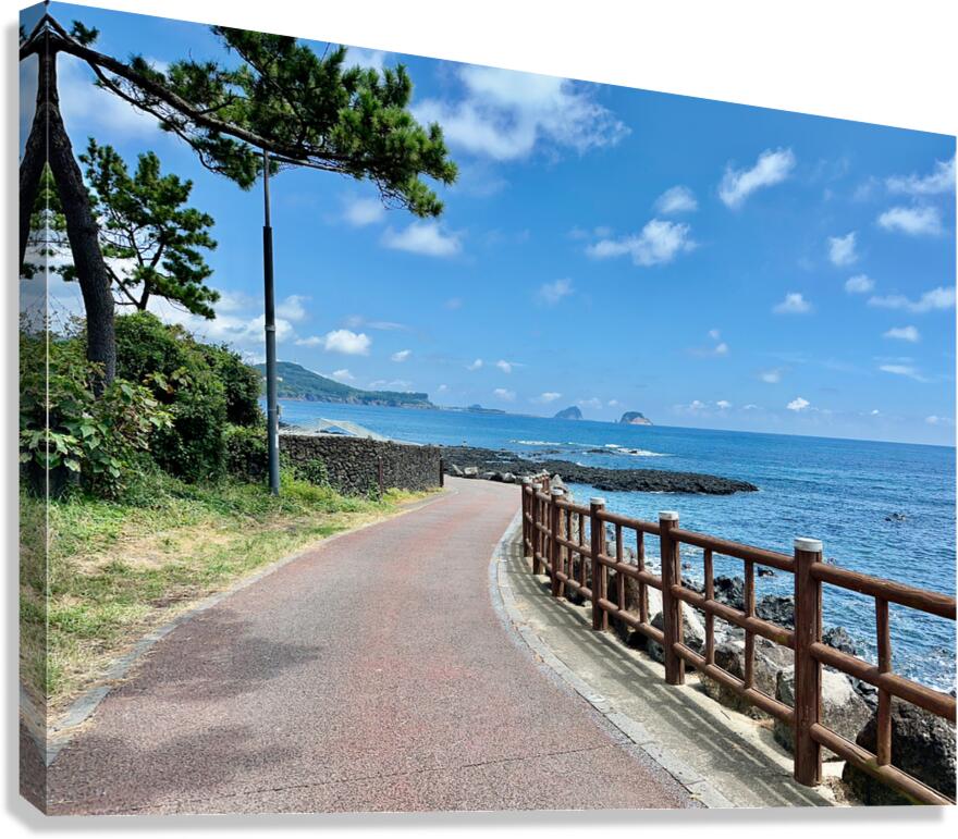The Way Jeju South Korea Canvas Print