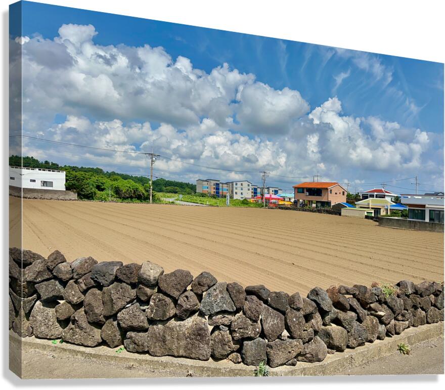 East Coast Jeju South Korea 1 Canvas Print