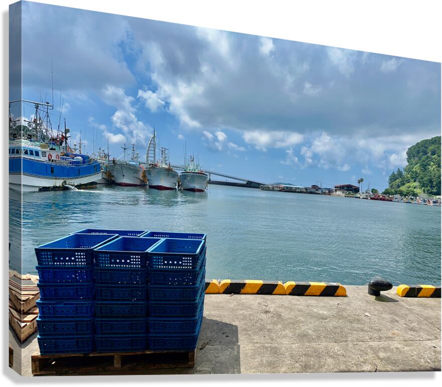 Seogwipo Jeju South Korea 4 Canvas Print