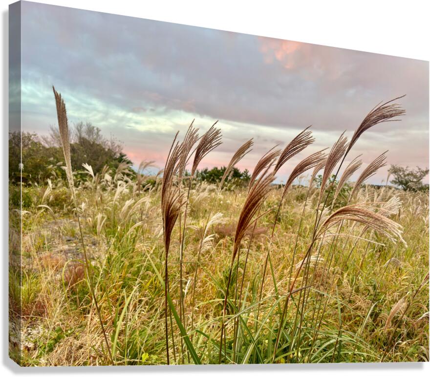 Stone Park Jeju South Korea 10 Canvas Print