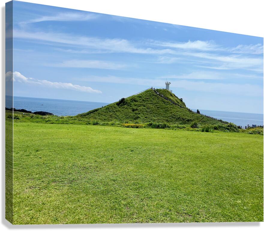 Seopjikoji Jeju South Korea 1 Canvas Print