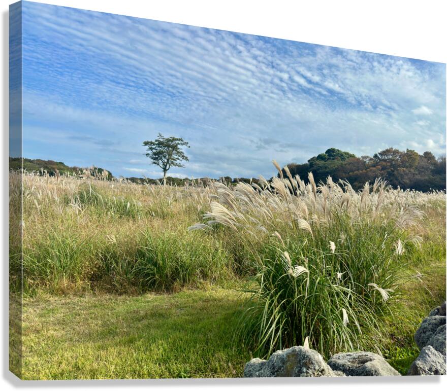 Stone Park Jeju South Korea 2 Canvas Print