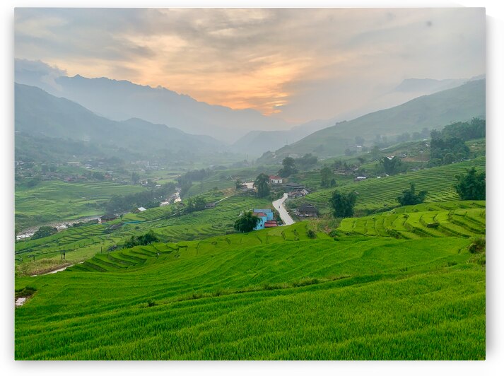 Sunset Over Sapa Rice Field by Jimmy Roy Photos