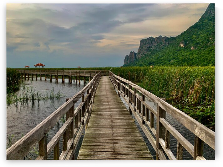Wooden Walkway 2 by Jimmy Roy Photos