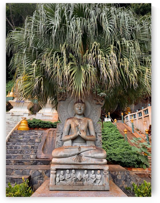 Buddha Under the Tree by Jimmy Roy Photos