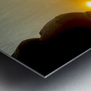 Enlightened Monkey at Sunset Impression metal