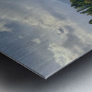 Newlyweds by the Wanaka Tree Metal print