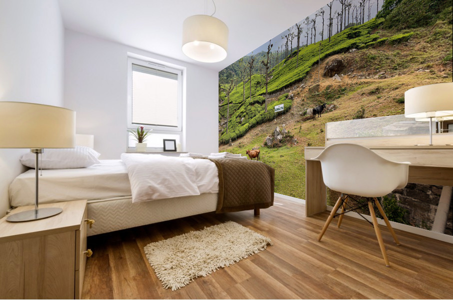 Toy Train Tea Plantations Mural print