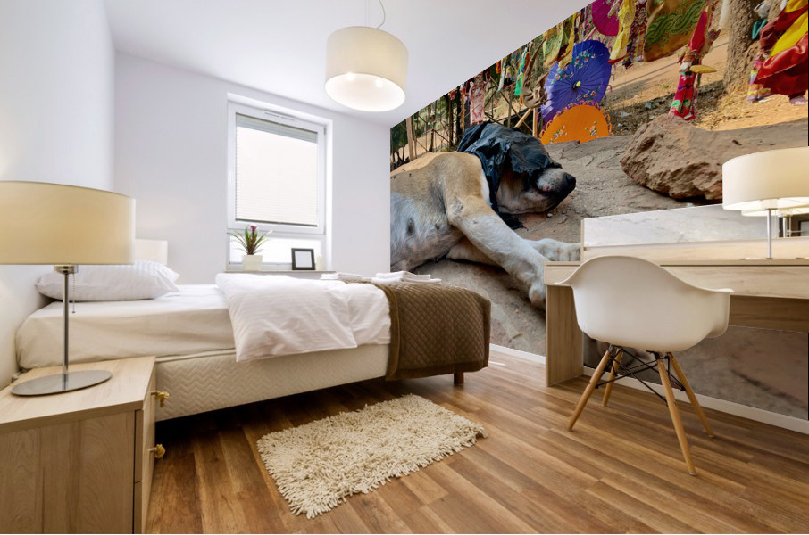 Doggie Afternoon Nap Mural print