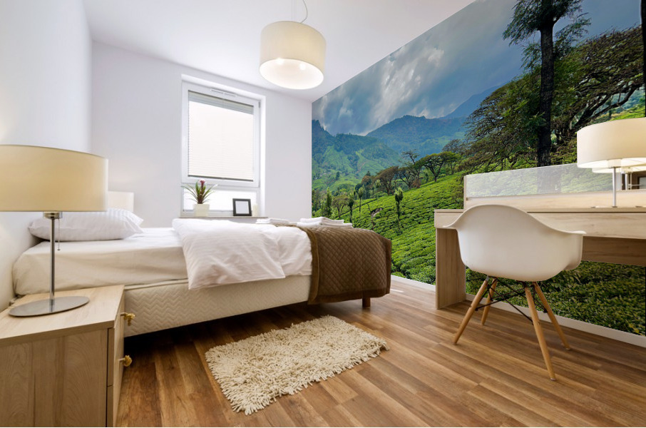 Tea Plantation Wonders Mural print