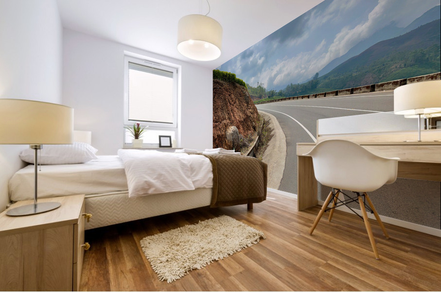 Drive by the Curve  Mural print