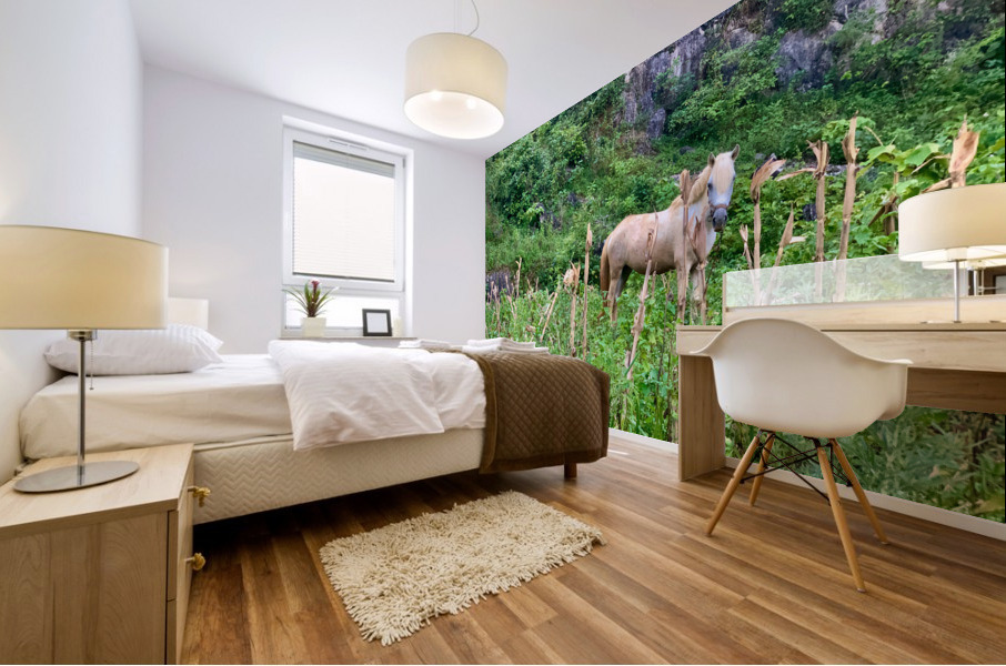 Wild Horse in the Field Mural print