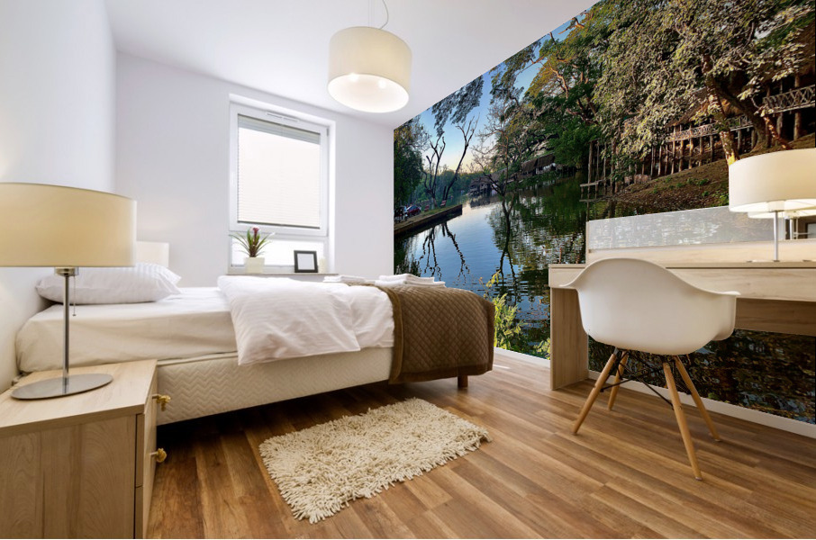 Village Reflection Mural print