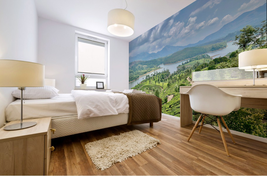 Beautiful River Through Tea Plantations Mural print
