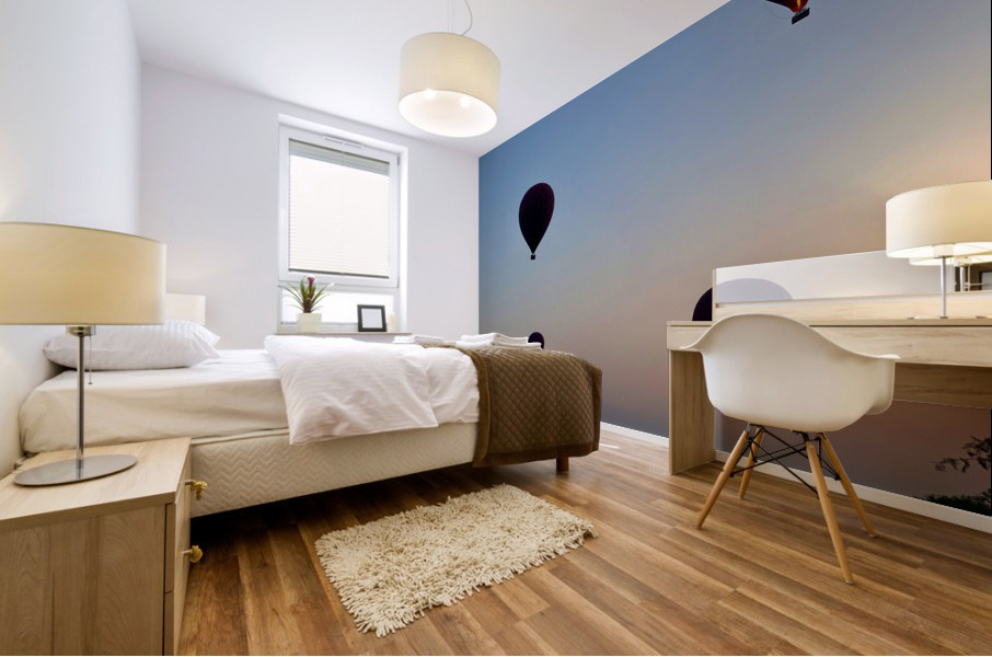 Hot Air Ballons at Sunrise Mural print