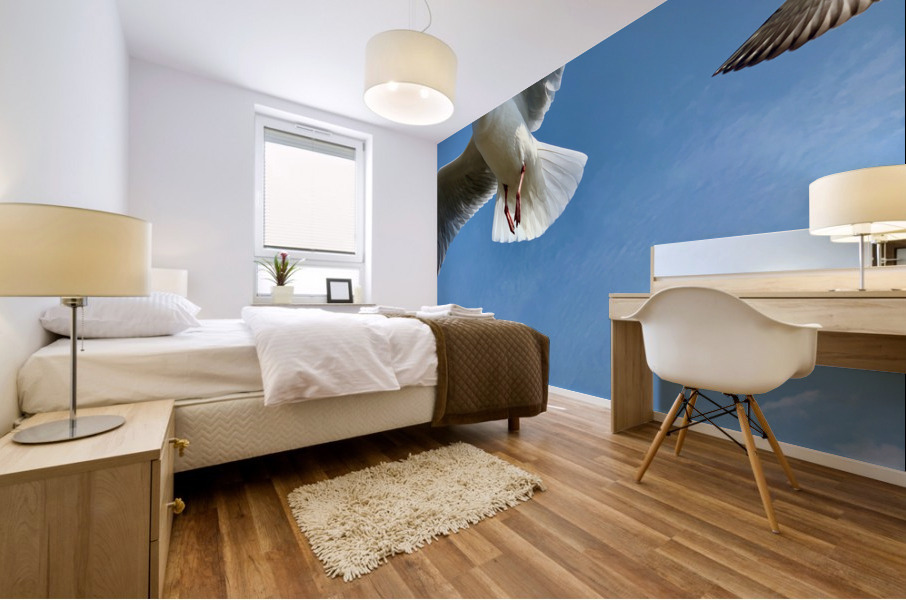Seagull Look Mural print