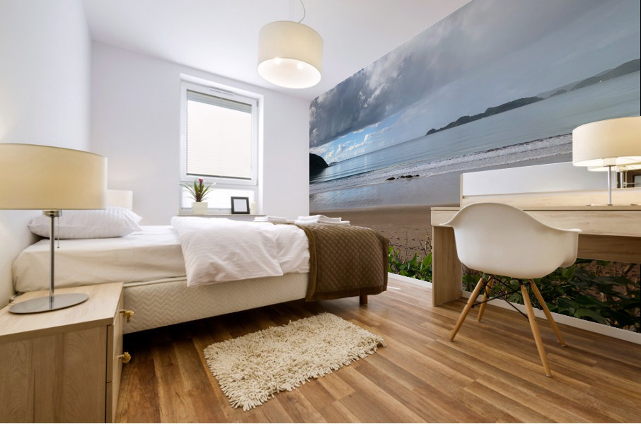 Half Nice Half Rain 3 Mural print