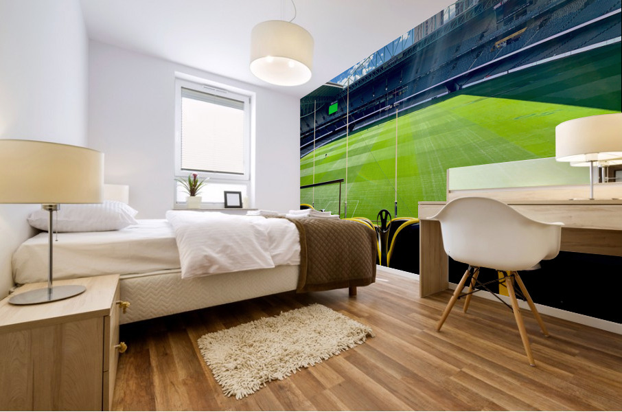 Australian Football Stadium Mural print